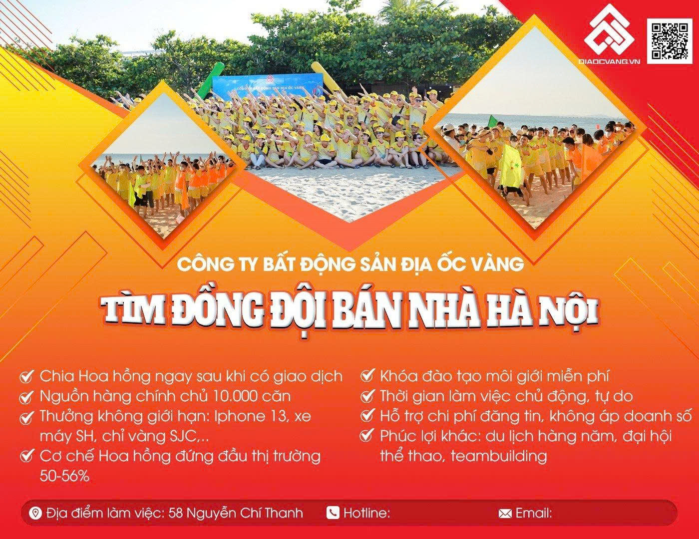 lĩnh vực hoạt động
